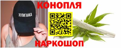 сатива Краснокаменск