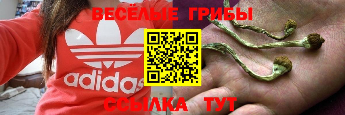 Когалым  Псилоцибиновые грибы Psilocybe  Псилоцибиновые грибы MAGIC MUSHROOMS  Вход с VPN 